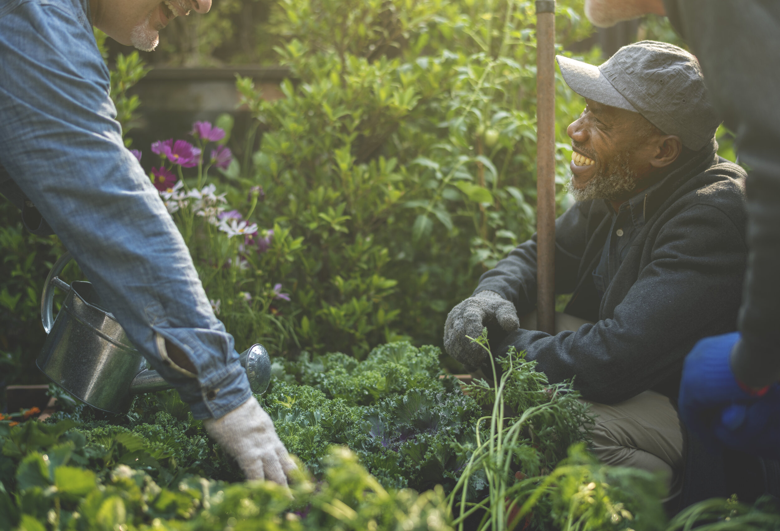 Harvest_Smile_AdobeStock_163995562.jpeg